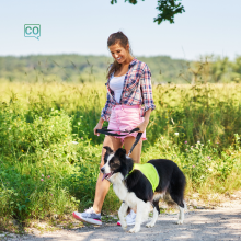  Wandelen (passeggiare) - Coniugazione dei verbi ed esercizi